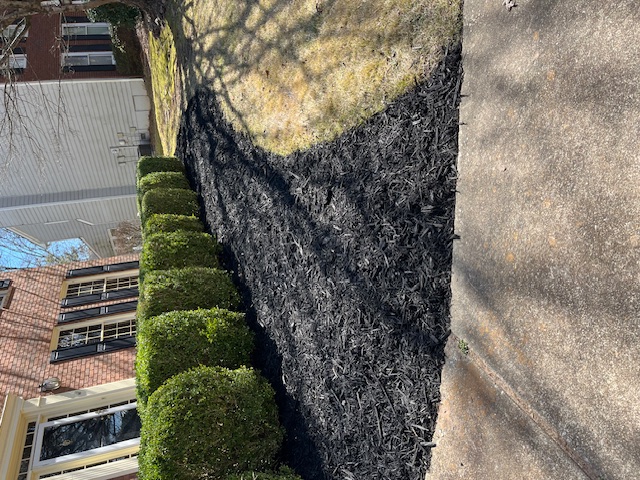 Lawn Maintenance